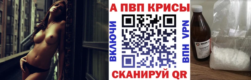 Alfa_PVP СК  Саранск 