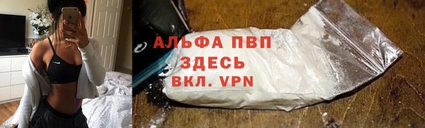 СК Медногорск