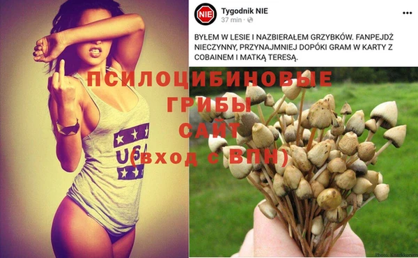 таблы Михайлов