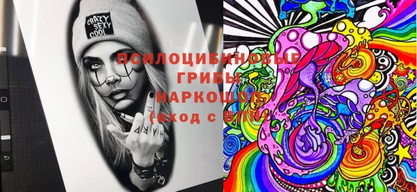 стаф Михайловск
