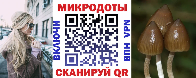 Псилоцибиновые грибы мухоморы наркота Саранск