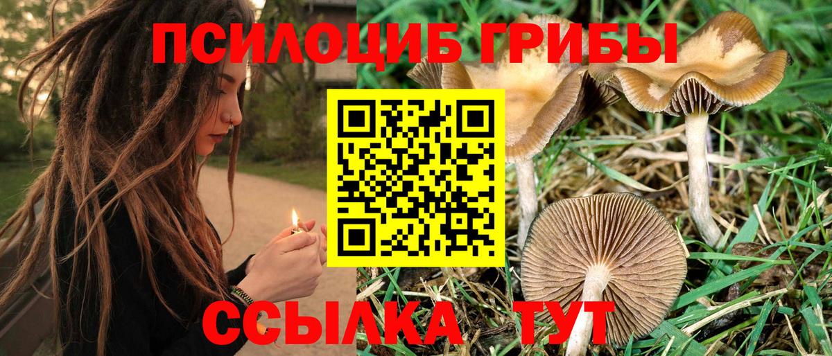 Галлюциногенные грибы GOLDEN TEACHER Саранск
