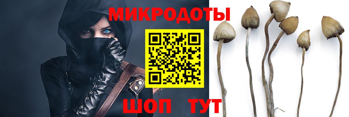 Саранск  Галлюциногенные грибы мухоморы  Вход с VPN 